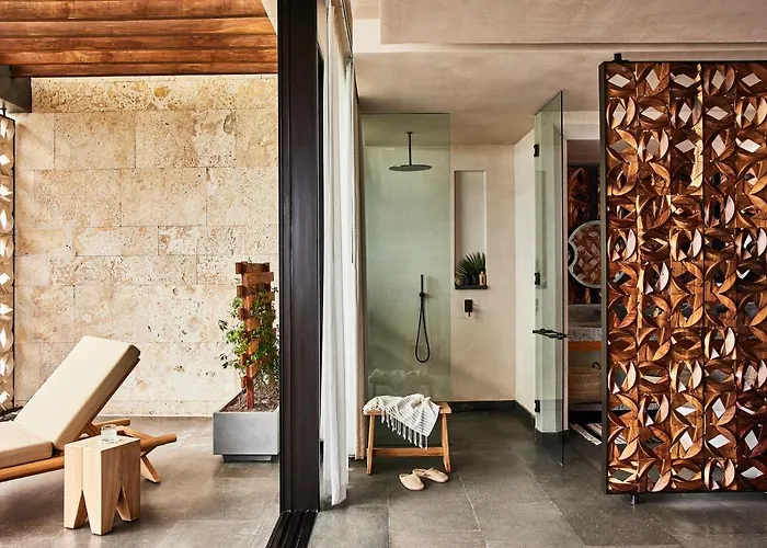 Hotel Etereo, Collection